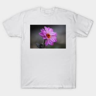 Purple Daisy T-Shirt